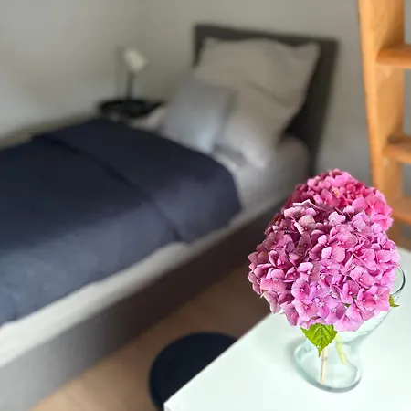 Naehe Stadtpark, Renoviert, Businesswohnung, Monteurwohnung, Geschaeftsreisendewohnung, Garten, Balkon,parkplatz アパート ザルツギッター
