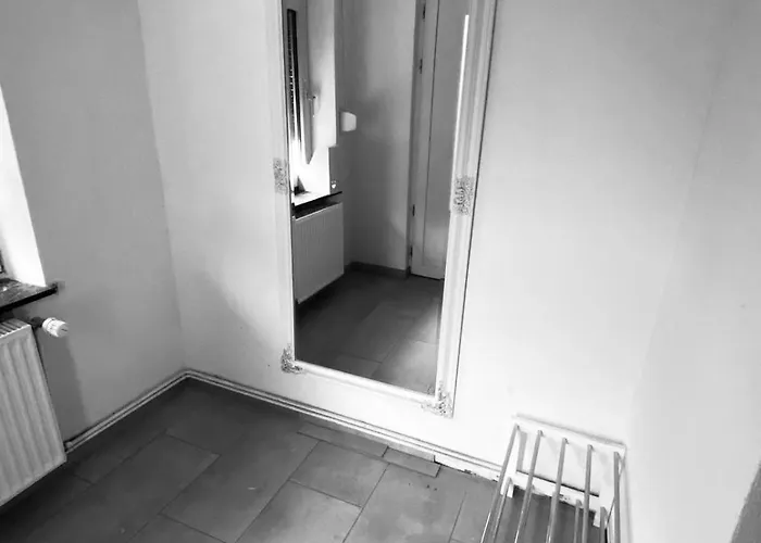 Naehe Stadtpark, Renoviert, Businesswohnung, Monteurwohnung, Geschaeftsreisendewohnung, Garten, Balkon,parkplatz * 萨尔茨吉特
