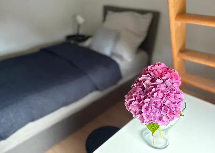 Naehe Stadtpark, Renoviert, Businesswohnung, Monteurwohnung, Geschaeftsreisendewohnung, Garten, Balkon,parkplatz 公寓 萨尔茨吉特