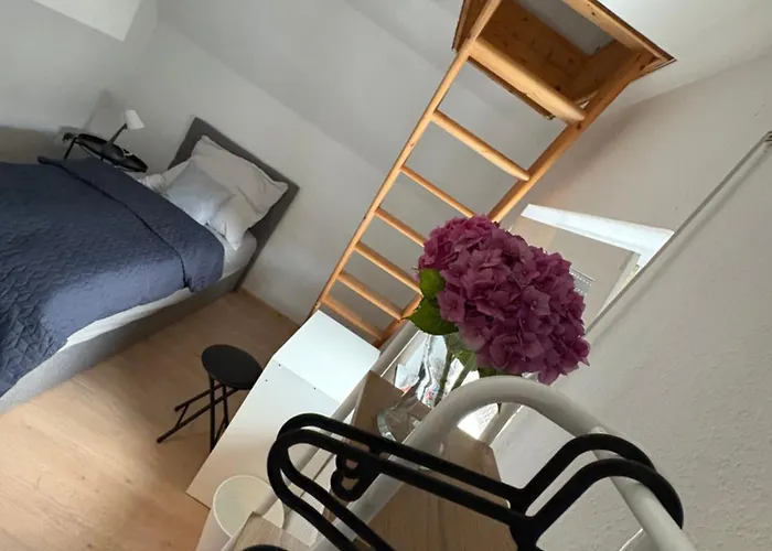 Naehe Stadtpark, Renoviert, Businesswohnung, Monteurwohnung, Geschaeftsreisendewohnung, Garten, Balkon,parkplatz * 萨尔茨吉特